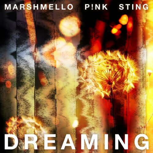 Marshmello, P!nk & Sting